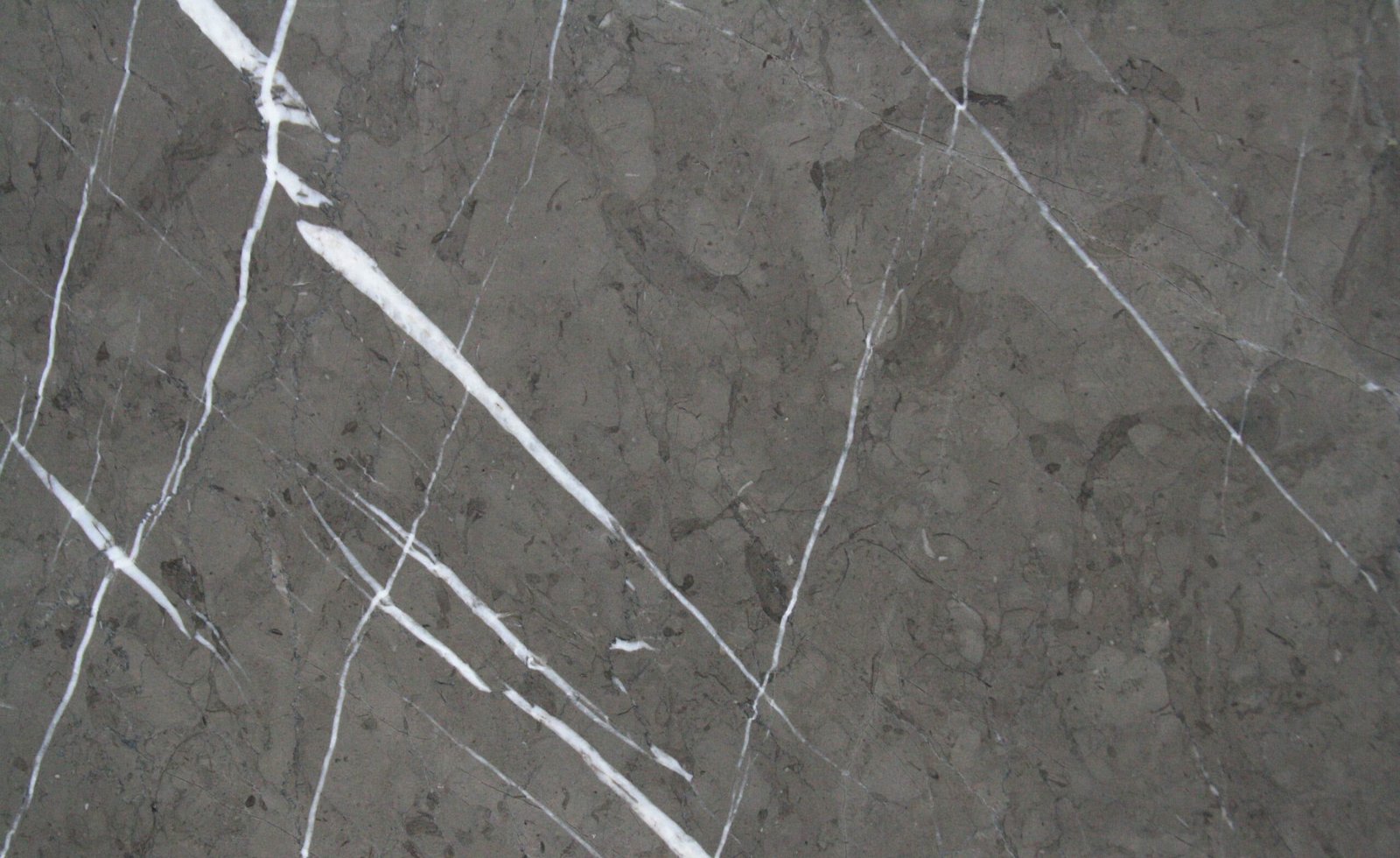 Pietra Grey Marble scaled
